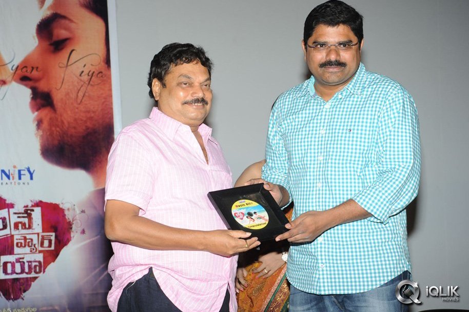 Maine-Pyar-Kiya-Movie-Audio-Success-Meet